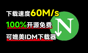下载速度60M/s,直接跑满带宽!最新NDM中文绿色汉化版,内附详细安装使用教程,平替IDM下载器-素材资源网